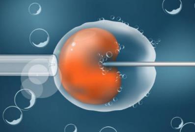 哪里有做试管助孕的